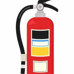 فوم فلوروپروتئین - FP